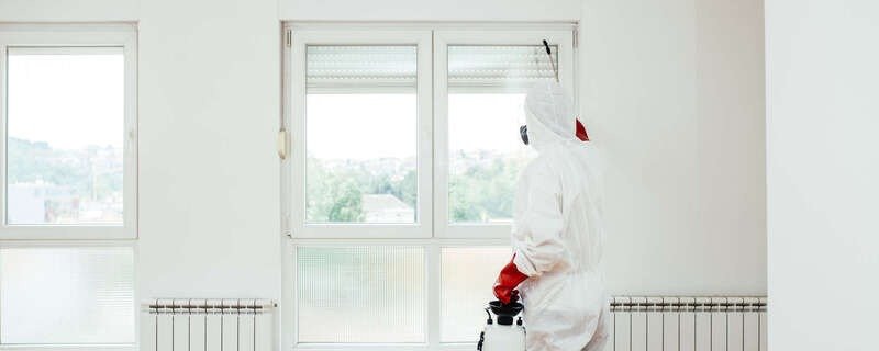 image demo (1)